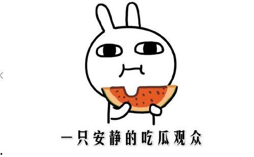 吃瓜群众表示什么意思,网络时代的围观力量