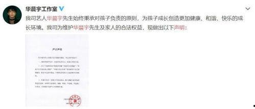 吃瓜作文娱乐圈,吃瓜群众眼中的繁华与喧嚣